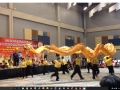 Liondance5